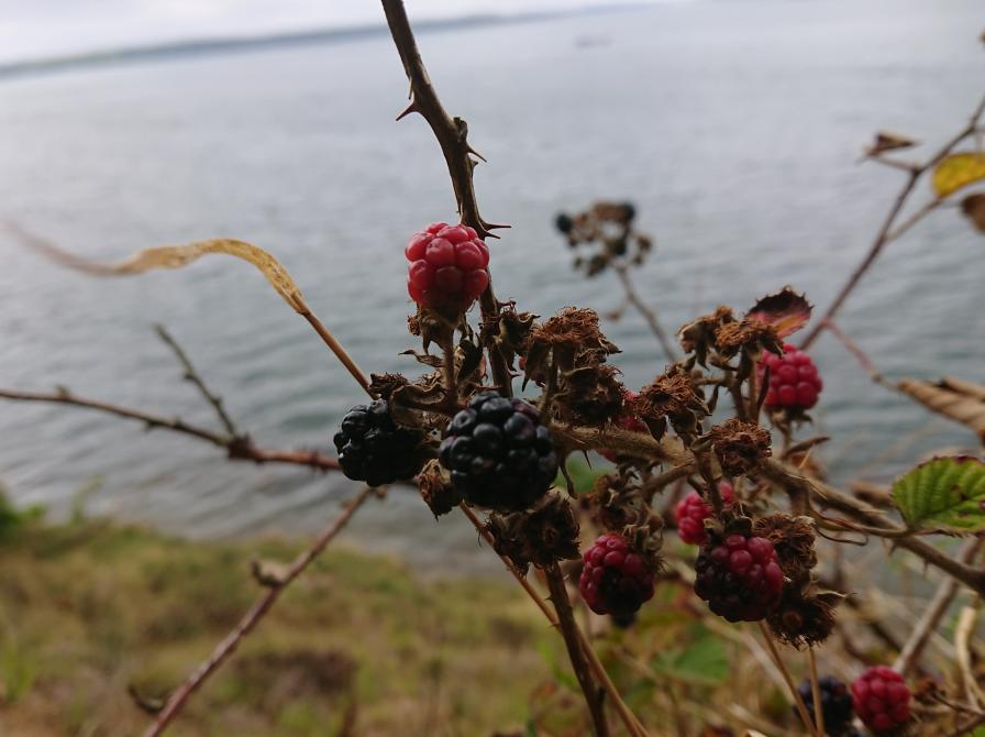 Foto fra turen