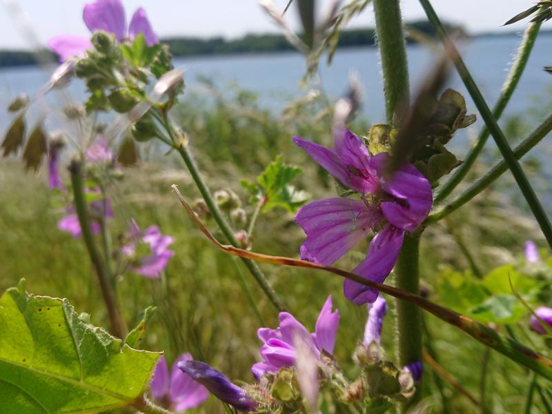 Foto fra turen