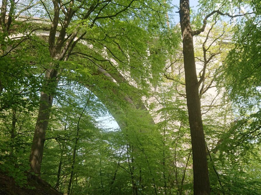 Foto fra turen